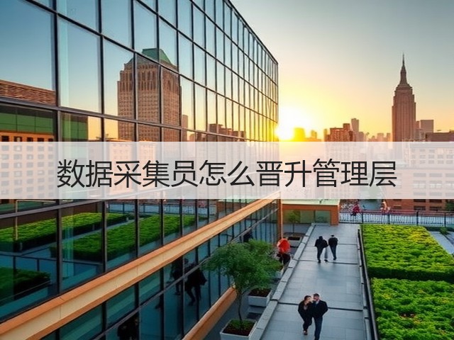 数据采集员怎么晋升管理层(图1) 数据采集员怎么晋升管理层(图1)