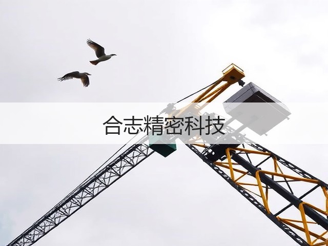 合志精密科技(图2) 合志精密科技(图2)
