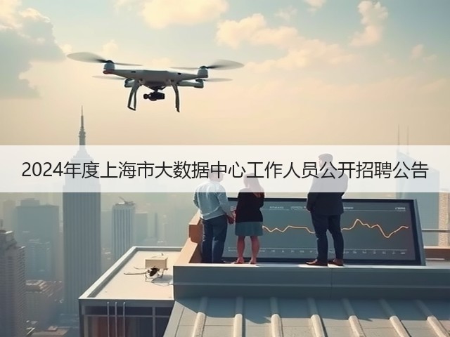 2024年度上海市大数据中心工作人员公开招聘公告(图1)