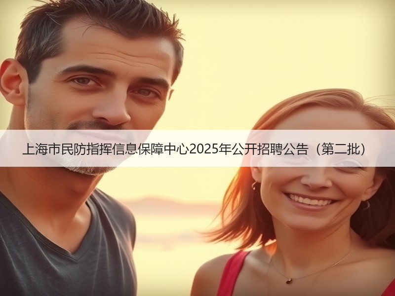 上海市民防指挥信息保障中心2025年公开招聘公告（第二批）