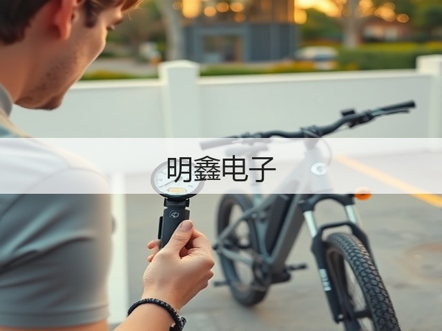 明鑫电子(图3)