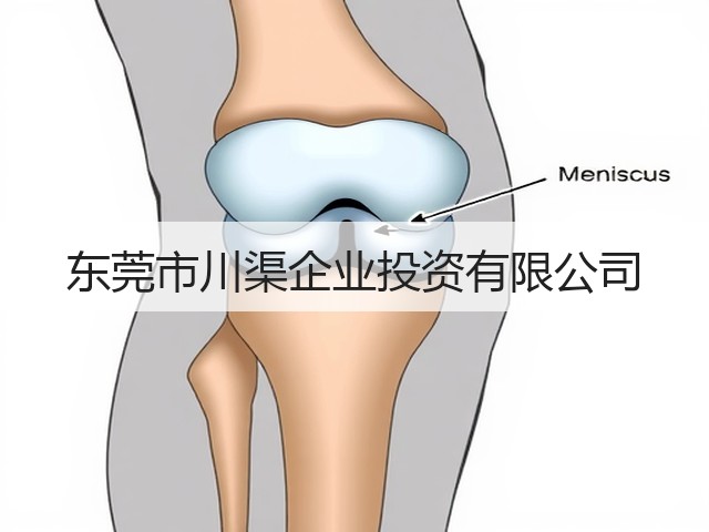 东莞市川渠企业投资有限公司(图3)
