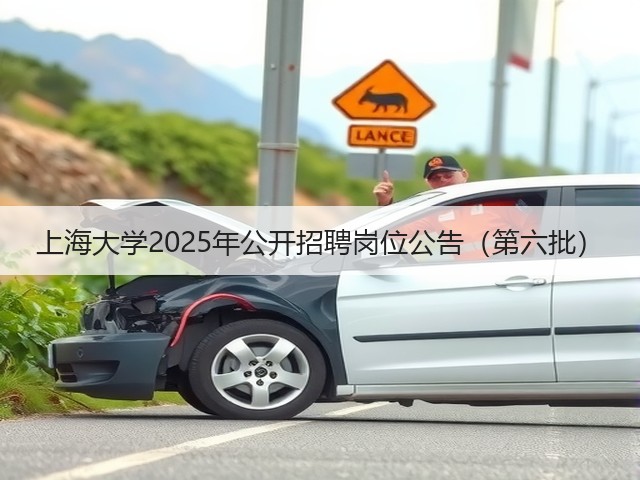 上海大学2025年公开招聘岗位公告(第六批)(图1) 上海大学2025年公开招聘岗位公告(第六批)(图1)