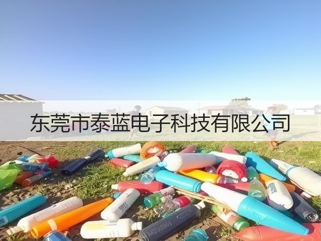 东莞市泰蓝电子科技有限公司(图2)