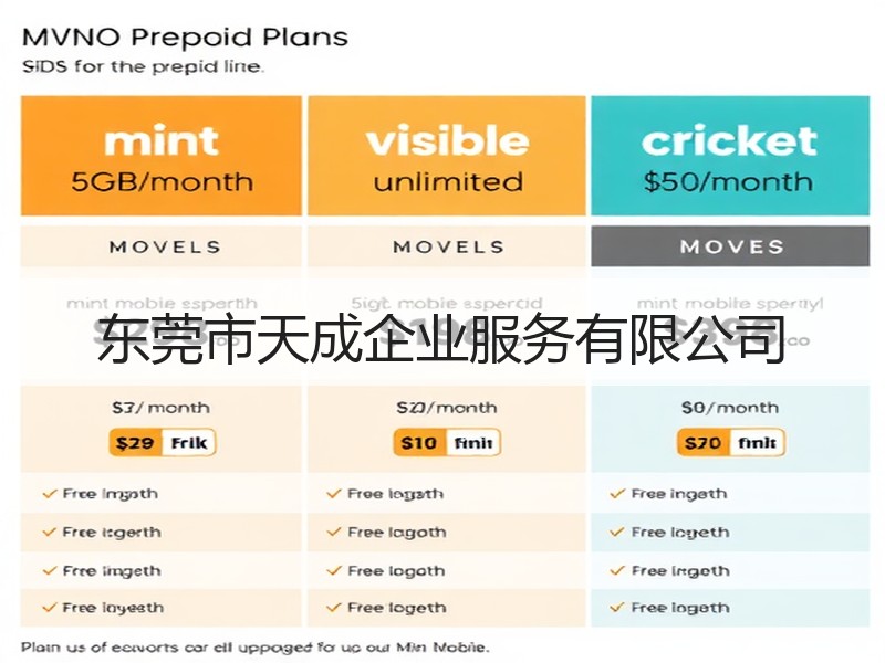 东莞市天成企业服务有限公司