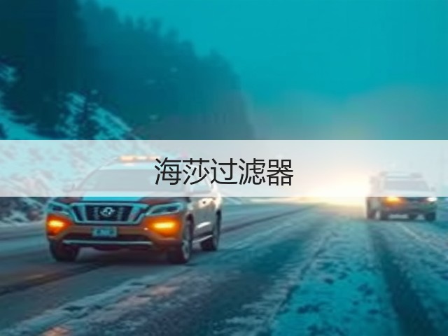 海莎过滤器(图1)