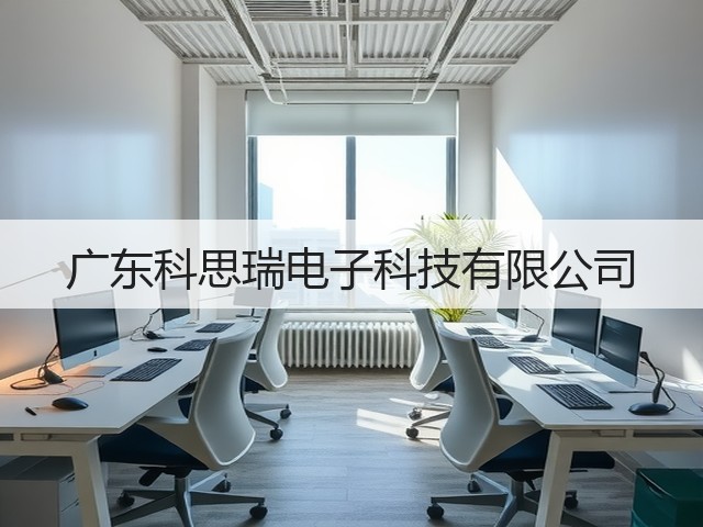 广东科思瑞电子科技有限公司(图3)