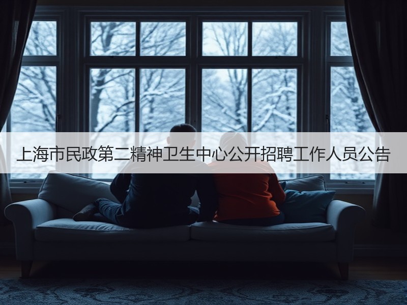 上海市民政第二精神卫生中心公开招聘工作人员公告