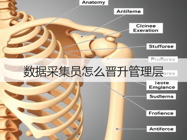 数据采集员怎么晋升管理层(图3) 数据采集员怎么晋升管理层(图3)