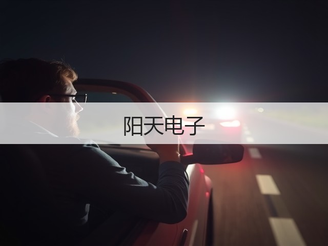 阳天电子(图1)