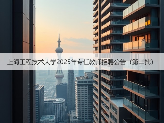 上海工程技术大学2025年专任教师招聘公告(第二批)(图3) 上海工程技术大学2025年专任教师招聘公告(第二批)(图3)