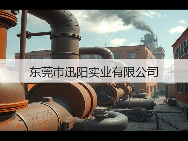 东莞市迅阳实业有限公司(图2)