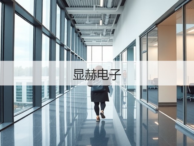 显赫电子(图2) 显赫电子(图2)