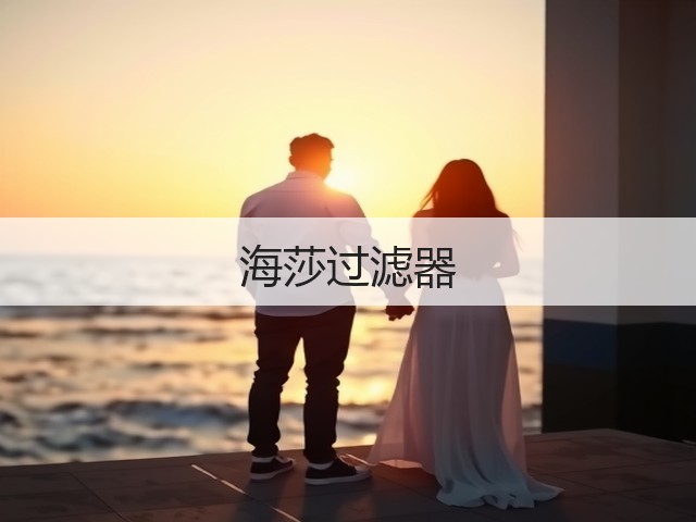 海莎过滤器(图2)