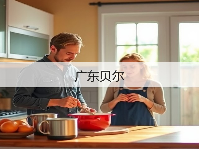 广东贝尔(图2)