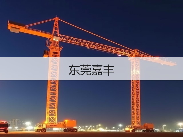 东莞嘉丰(图2) 东莞嘉丰(图2)
