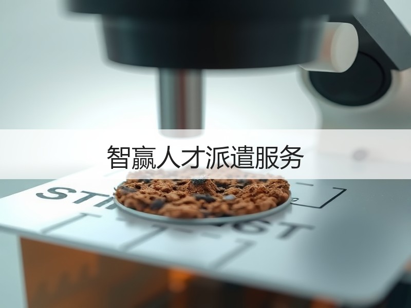 智赢人才派遣服务