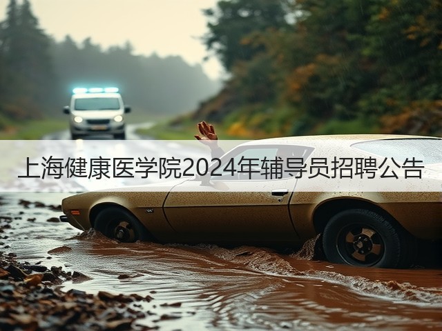 上海健康医学院2024年辅导员招聘公告(图2)