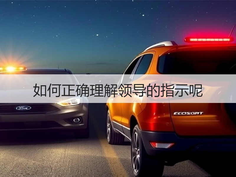 如何正确理解领导的指示呢