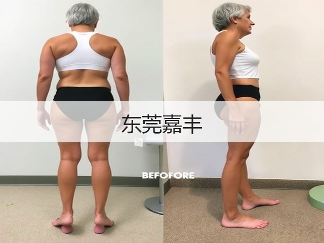 东莞嘉丰(图3) 东莞嘉丰(图3)