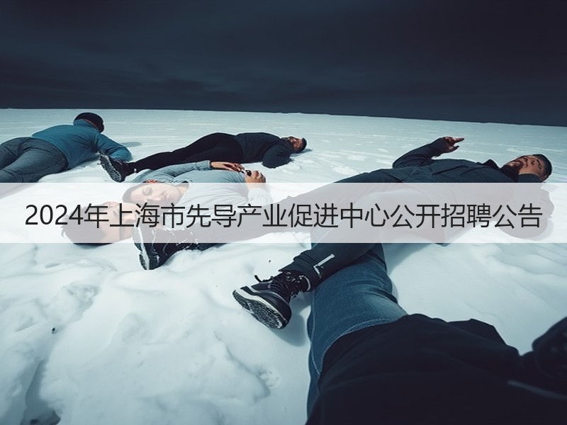 2024年上海市先导产业促进中心公开招聘公告