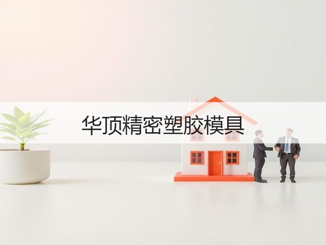 华顶精密塑胶模具(图1)