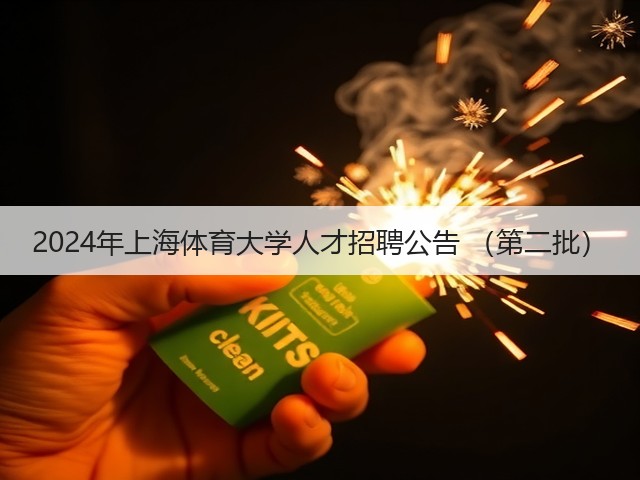 2024年上海体育大学人才招聘公告 （第二批）(图2)