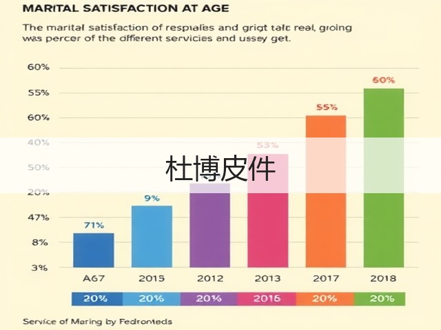 杜博皮件(图3)