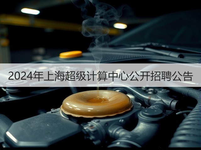 2024年上海超级计算中心公开招聘公告(图2)