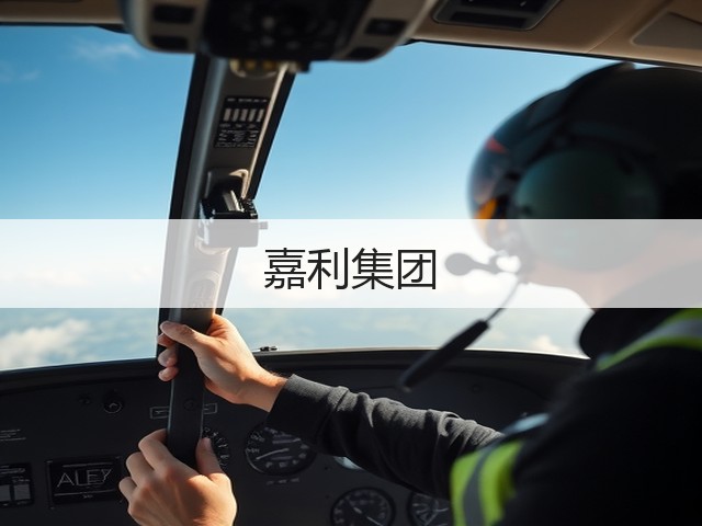 嘉利集团(图1)
