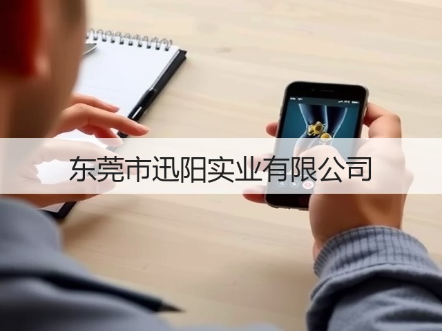 东莞市迅阳实业有限公司(图1)