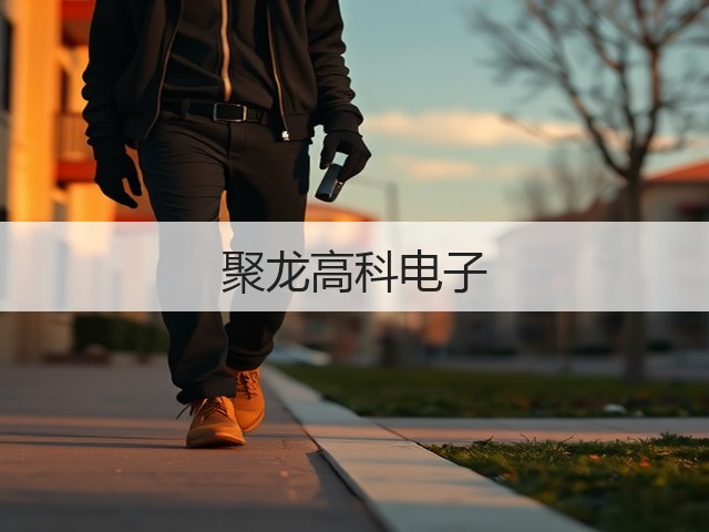 聚龙高科电子(图1)