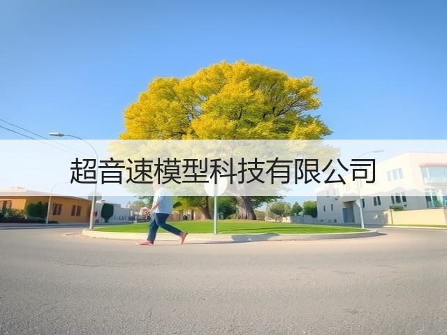 超音速模型科技有限公司(图3) 超音速模型科技有限公司(图3)