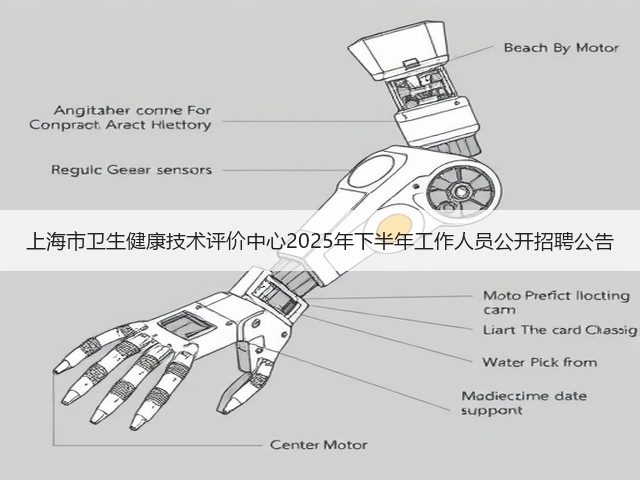 上海市卫生健康技术评价中心2025年下半年工作人员公开招聘公告(图2)