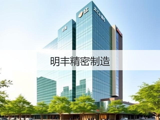 明丰精密制造(图2) 明丰精密制造(图2)