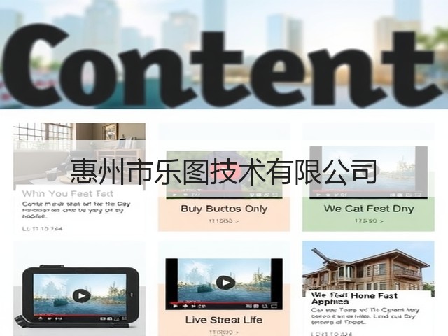 惠州市乐图技术有限公司(图1)