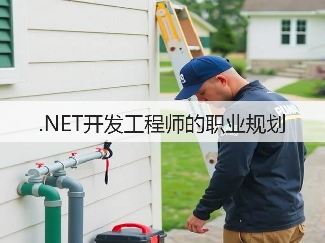 .NET开发工程师的职业规划(图3) .NET开发工程师的职业规划(图3)