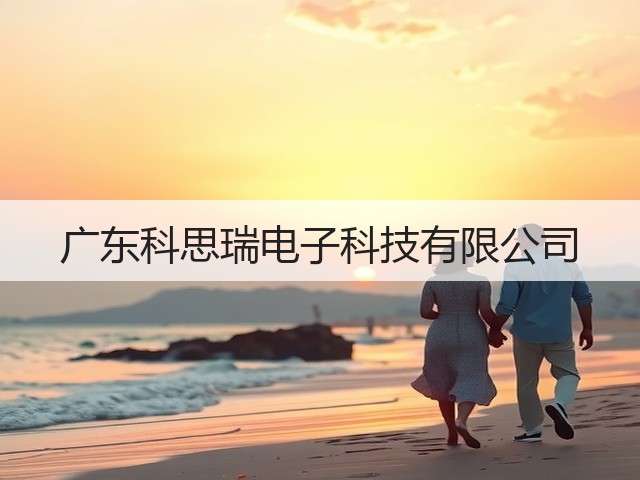 广东科思瑞电子科技有限公司(图2)