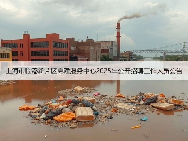 上海市临港新片区党建服务中心2025年公开招聘工作人员公告(图1) 上海市临港新片区党建服务中心2025年公开招聘工作人员公告(图1)