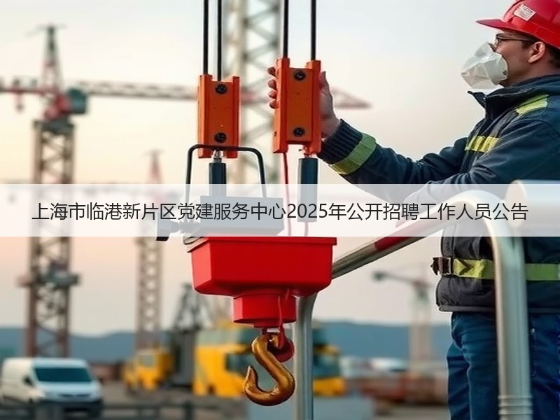 上海市临港新片区党建服务中心2025年公开招聘工作人员公告