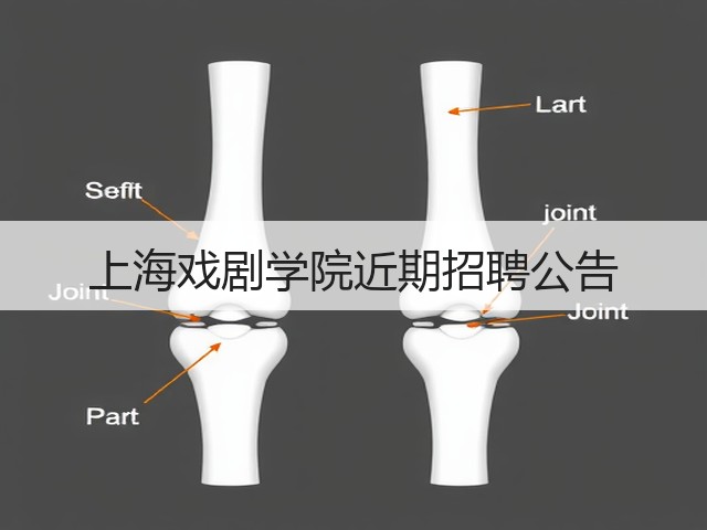 上海戏剧学院近期招聘公告(图2) 上海戏剧学院近期招聘公告(图2)
