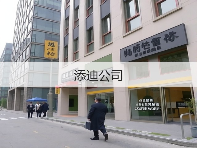 添迪公司(图3)