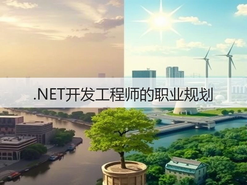 .NET开发工程师的职业规划