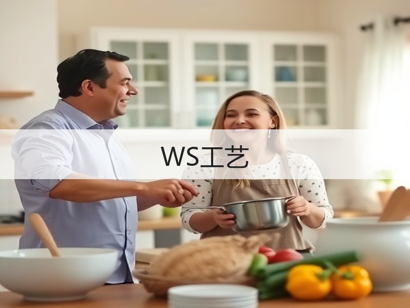 WS工艺