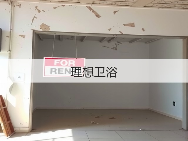 理想卫浴(图1)