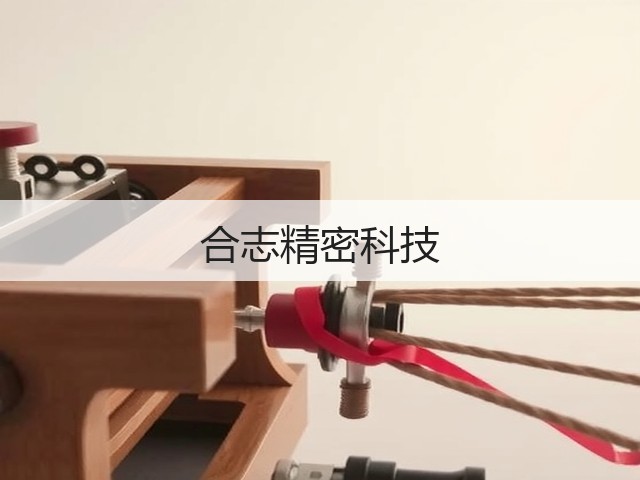 合志精密科技(图3) 合志精密科技(图3)