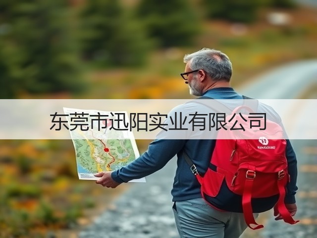 东莞市迅阳实业有限公司(图1)