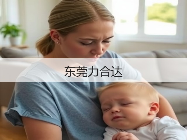 东莞力合达(图1)