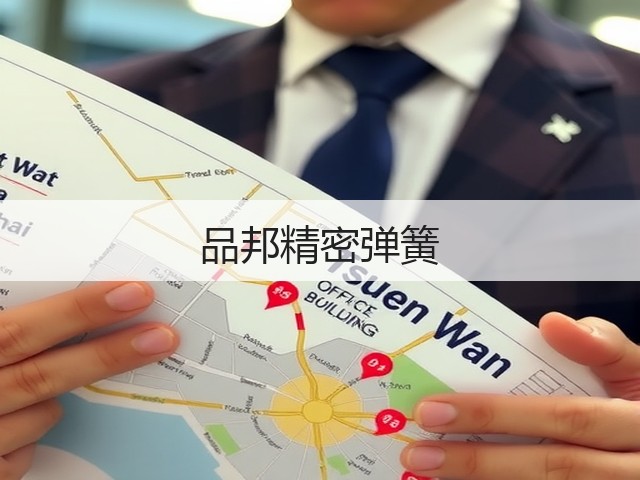 品邦精密弹簧(图3)