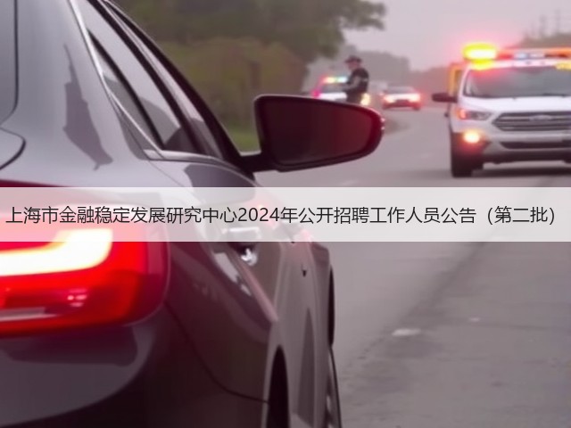 上海市金融稳定发展研究中心2024年公开招聘工作人员公告（第二批）(图2)